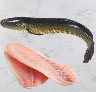 Murrel Fish - 1kg