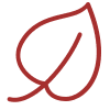 icons8-leaf-100 (1) icons8-leaf-100 (1)