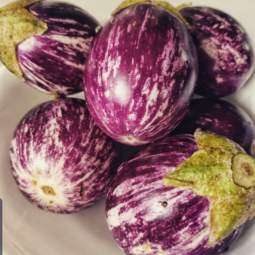 VEGETABLE-BRINJAL-Brinjal-Purple-Stripe-Round-2